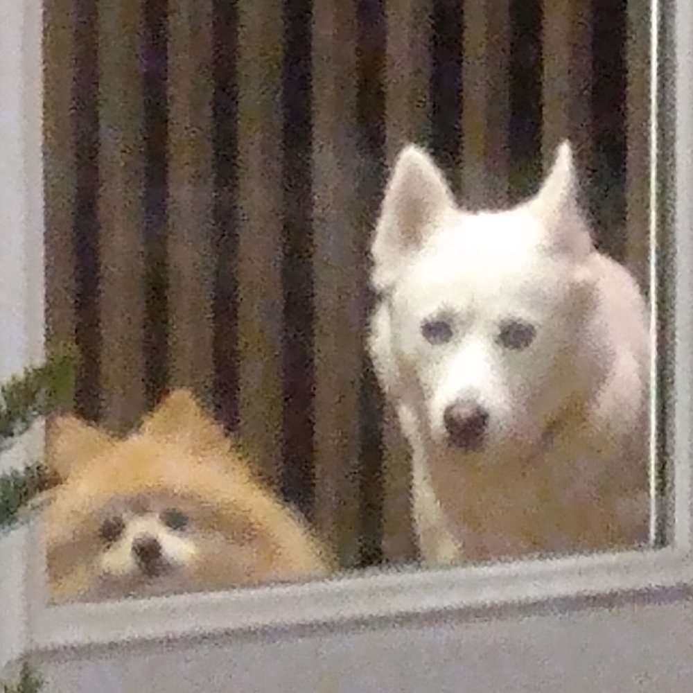 My Pals, buddies, etc